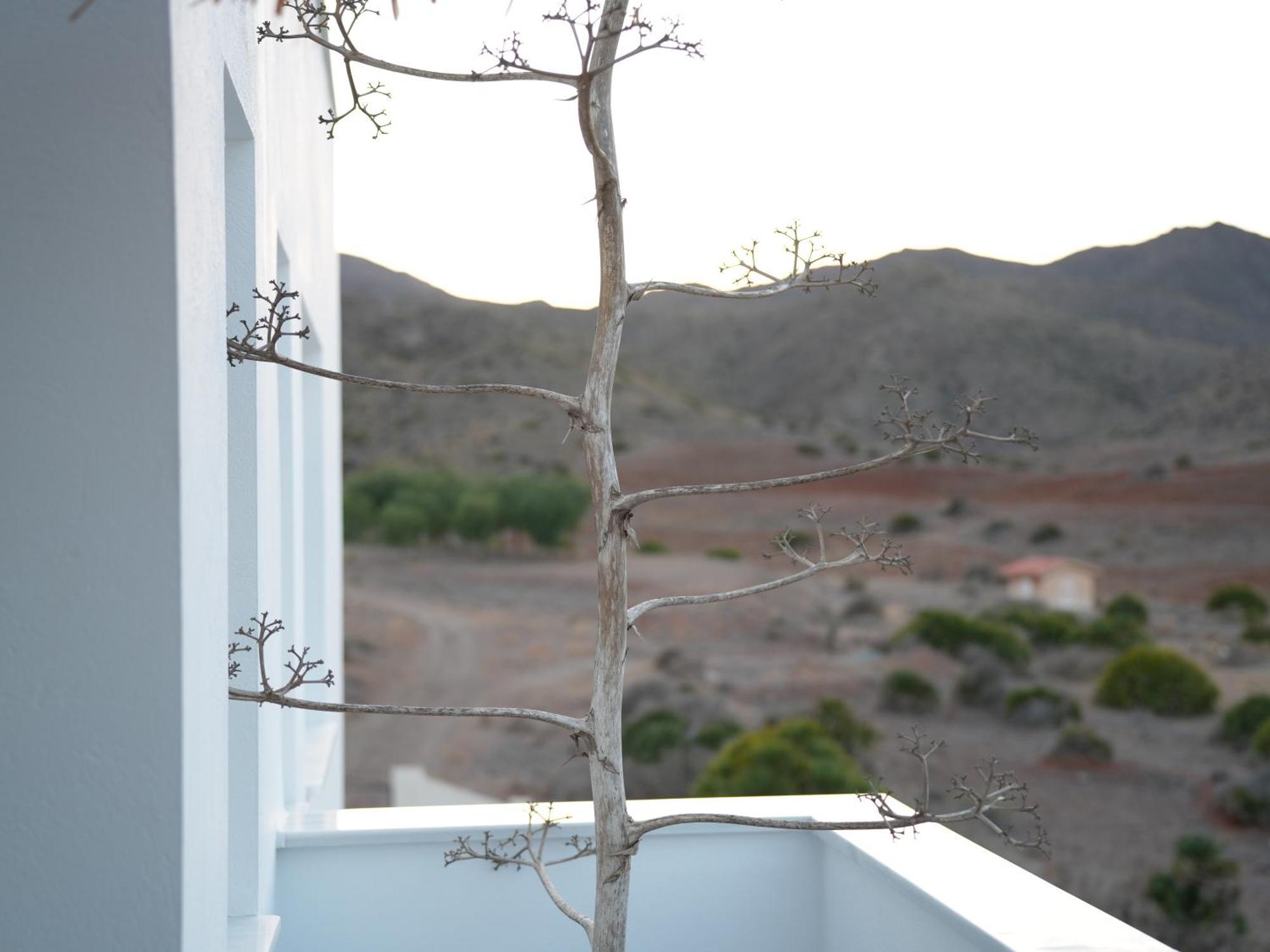 Senses Villa San Jose  Exterior photo